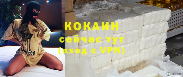 твердый Аркадак