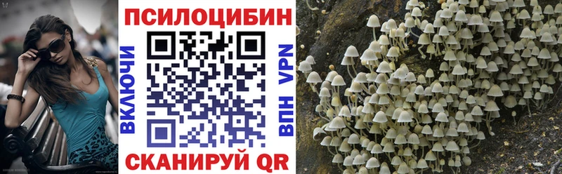Купить закладки  Балабаново  Галлюциногенные грибы прущие грибы 