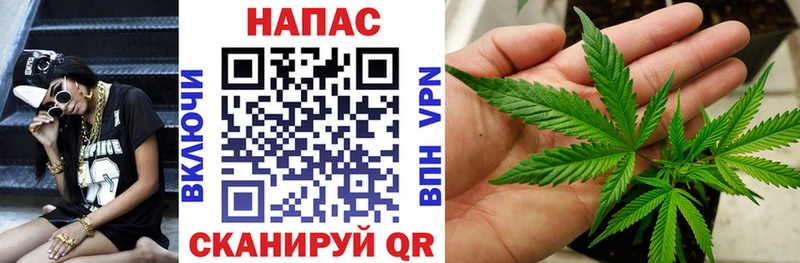 Купить где  Балабаново  Каннабис MAZAR 